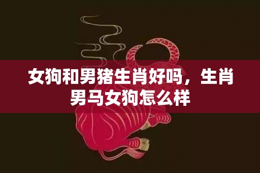 女狗和男猪生肖好吗，生肖男马女狗怎么样