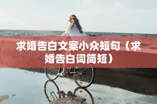 求婚告白文案小众短句（求婚告白词简短）