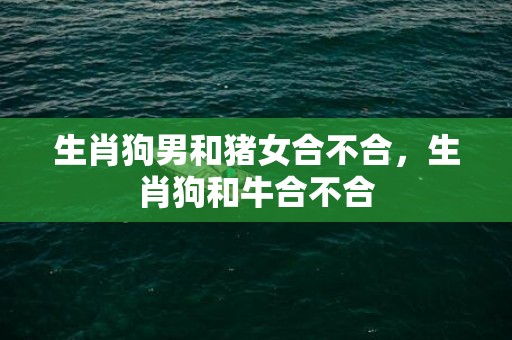 生肖狗男和猪女合不合，生肖狗和牛合不合