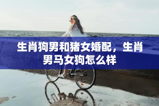 生肖狗男和猪女婚配，生肖男马女狗怎么样