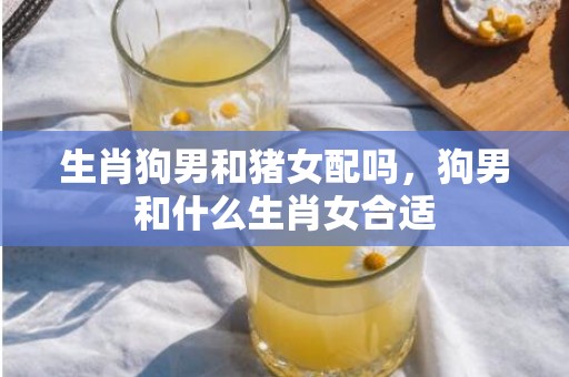 生肖狗男和猪女配吗，狗男和什么生肖女合适