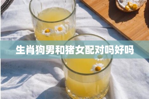 生肖狗男和猪女配对吗好吗