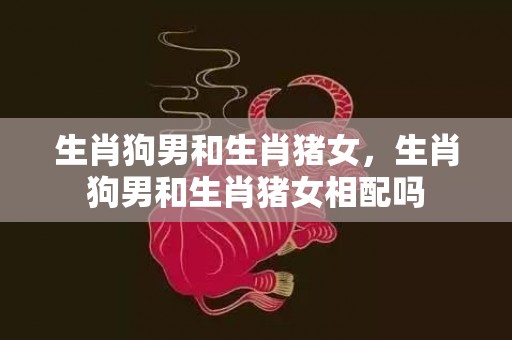 生肖狗男和生肖猪女，生肖狗男和生肖猪女相配吗