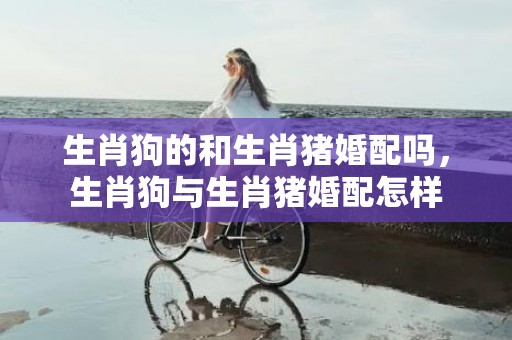 生肖狗的和生肖猪婚配吗，生肖狗与生肖猪婚配怎样