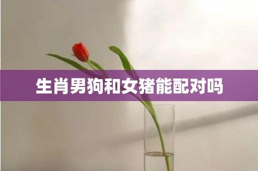 生肖男狗和女猪能配对吗