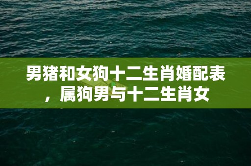 男猪和女狗十二生肖婚配表，属狗男与十二生肖女