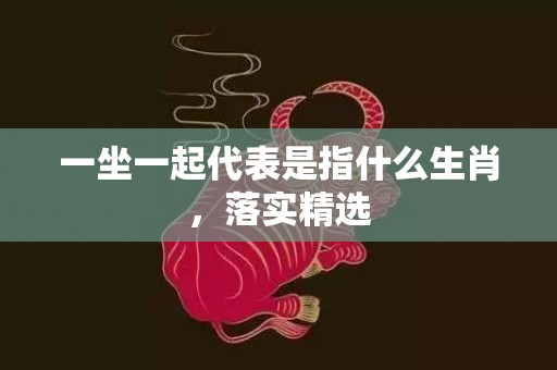 一坐一起代表是指什么生肖，落实精选