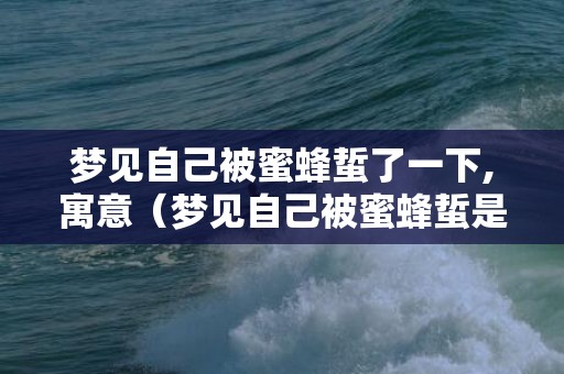 梦见自己被蜜蜂蜇了一下,寓意（梦见自己被蜜蜂蜇是什么意思做梦梦到自己被蜜蜂蛰了什么...）