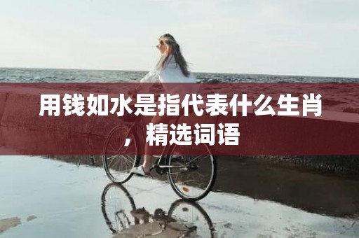 用钱如水是指代表什么生肖，精选词语