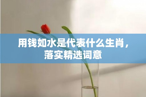 用钱如水是代表什么生肖，落实精选词意