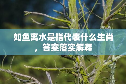 如鱼离水是指代表什么生肖，答案落实解释