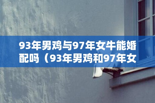 93年男鸡与97年女牛能婚配吗（93年男鸡和97年女牛相配吗93年男鸡与97年女牛相配吗）