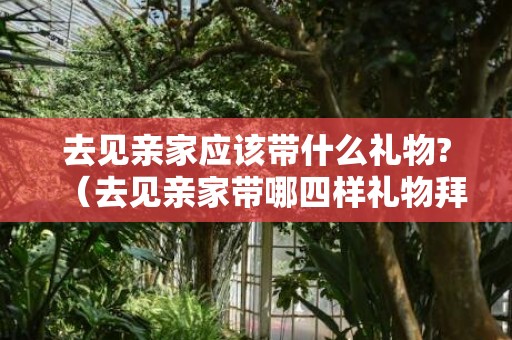 去见亲家应该带什么礼物?（去见亲家带哪四样礼物拜见亲家要带什么）