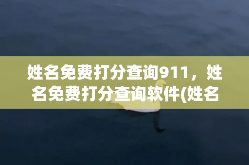 姓名免费打分查询911，姓名免费打分查询软件(姓名免费打分查询免费)