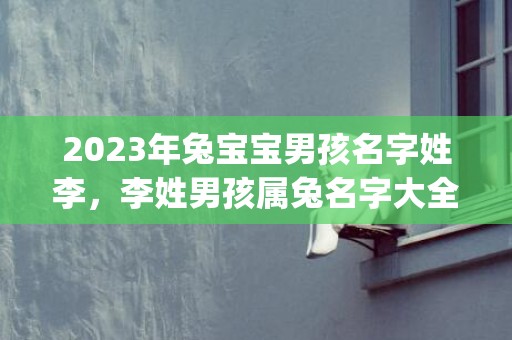 2023年兔宝宝男孩名字姓李，李姓男孩属兔名字大全(2023年兔宝宝取名字最佳字男孩)