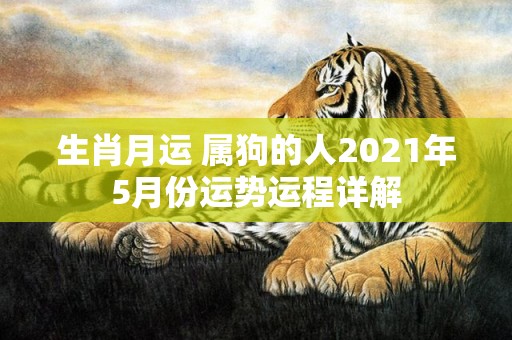 生肖月运 属狗的人2021年5月份运势运程详解