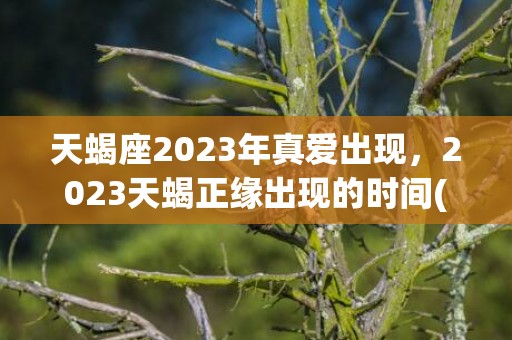 天蝎座2023年真爱出现，2023天蝎正缘出现的时间(天蝎座2023年天蝎座女生运势)