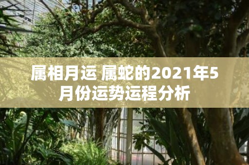 属相月运 属蛇的2021年5月份运势运程分析