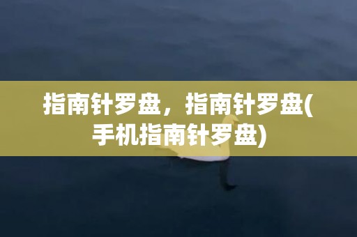 指南针罗盘，指南针罗盘(手机指南针罗盘)