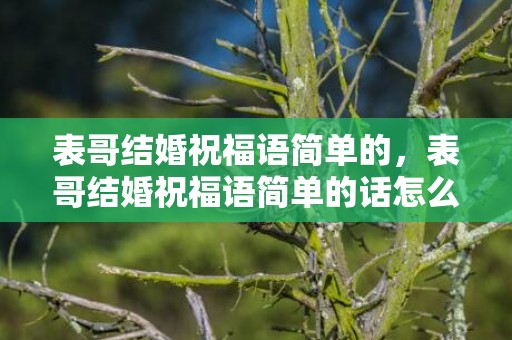 表哥结婚祝福语简单的，表哥结婚祝福语简单的话怎么说好听一点