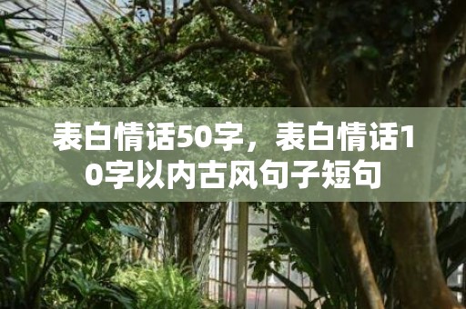 表白情话50字，表白情话10字以内古风句子短句