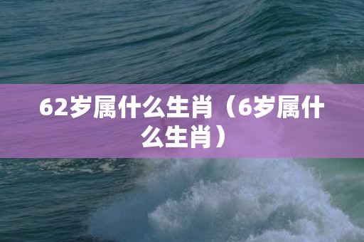 62岁属什么生肖（6岁属什么生肖）