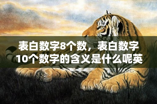 表白数字8个数，表白数字10个数字的含义是什么呢英语翻译