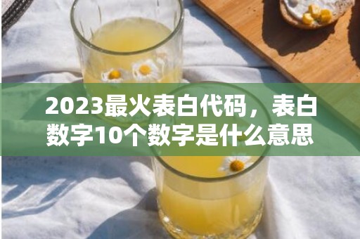 2023最火表白代码，表白数字10个数字是什么意思呀怎么写的