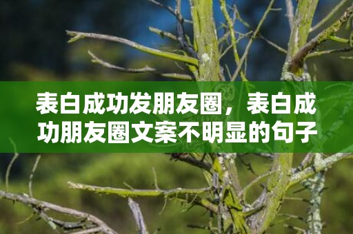 表白成功发朋友圈，表白成功朋友圈文案不明显的句子简短