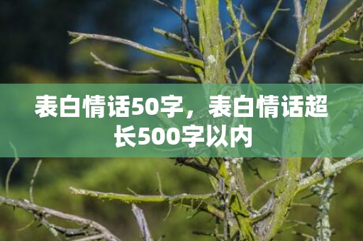 表白情话50字，表白情话超长500字以内