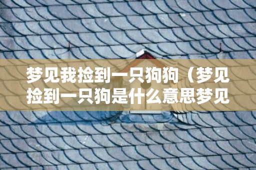 梦见我捡到一只狗狗（梦见捡到一只狗是什么意思梦见捡到了一只狗）