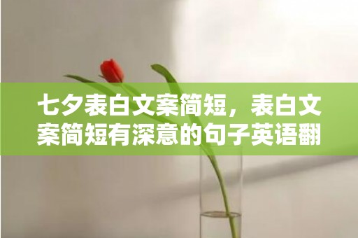 七夕表白文案简短，表白文案简短有深意的句子英语翻译怎么写