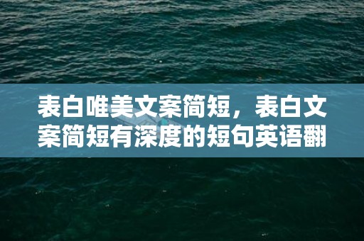 表白唯美文案简短，表白文案简短有深度的短句英语翻译怎么写