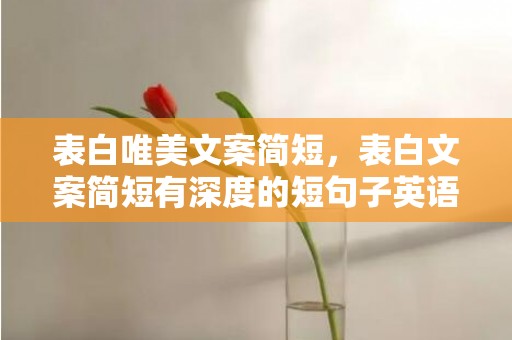 表白唯美文案简短，表白文案简短有深度的短句子英语带翻译