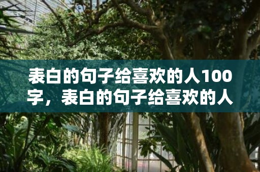 表白的句子给喜欢的人100字，表白的句子给喜欢的人文案简短一点英语翻译