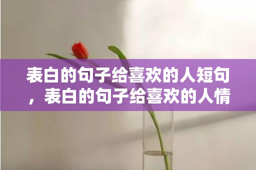 表白的句子给喜欢的人短句，表白的句子给喜欢的人情书短句英语怎么说