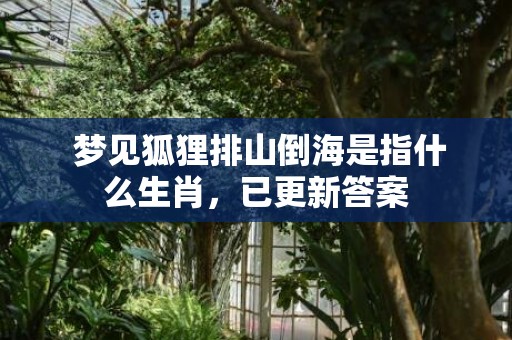  梦见狐狸排山倒海是指什么生肖，已更新答案