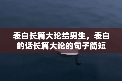 表白长篇大论给男生，表白的话长篇大论的句子简短