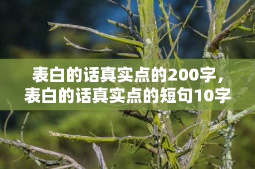 表白的话真实点的200字，表白的话真实点的短句10字怎么写的