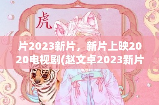 片2023新片，新片上映2020电视剧(赵文卓2023新片)