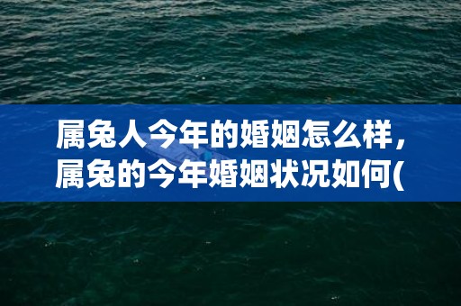 属兔人今年的婚姻怎么样，属兔的今年婚姻状况如何(属兔人今年婚姻如何L)