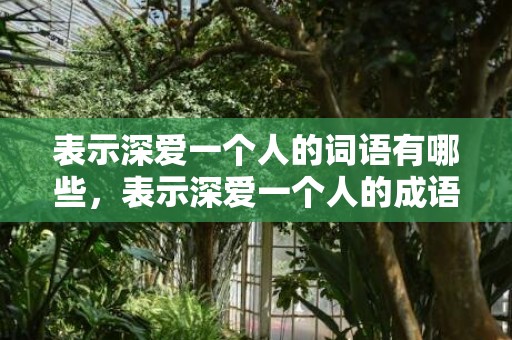 表示深爱一个人的词语有哪些，表示深爱一个人的成语情有独钟的诗句