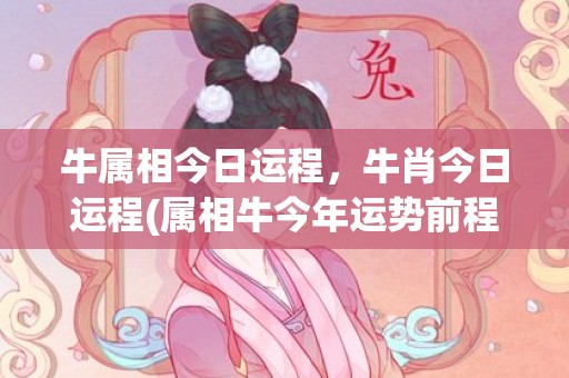 牛属相今日运程，牛肖今日运程(属相牛今年运势前程如何)