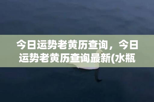 今日运势老黄历查询，今日运势老黄历查询最新(水瓶座今日运势老黄历查询)