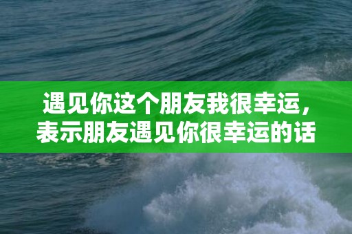 遇见你这个朋友我很幸运，表示朋友遇见你很幸运的话怎么说