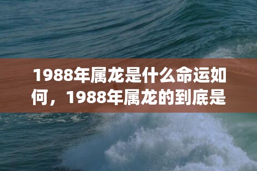 1988年属龙是什么命运如何，1988年属龙的到底是什么命(1988年属龙是什么颜色的龙)