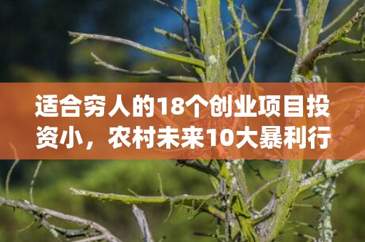 适合穷人的18个创业项目投资小，农村未来10大暴利行业(适合穷人的18个创业项目投资小去哪铺)