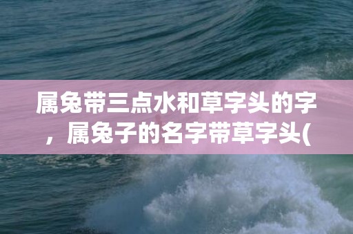 属兔带三点水和草字头的字，属兔子的名字带草字头(属兔带三点水和草字一个字)