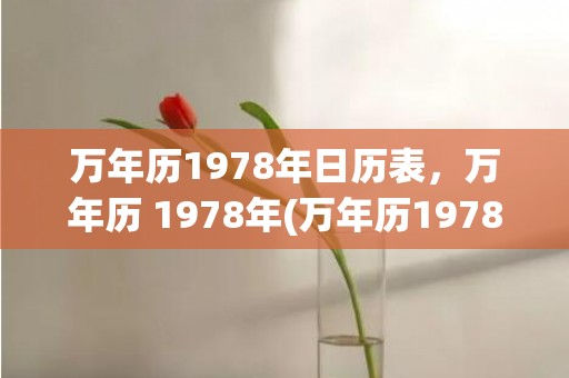 万年历1978年日历表，万年历 1978年(万年历1978年日历表全年)