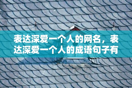 表达深爱一个人的网名，表达深爱一个人的成语句子有哪些短句